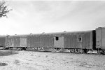 NDM 1538